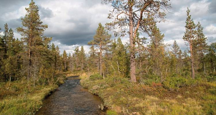 Experiencias en la naturaleza finlandesa - DERTOUR 10