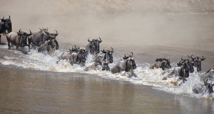 9-Day Best of Kenya and Tanzania Safari - Professional Safari Africa 2