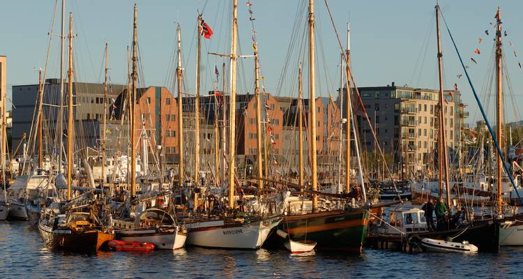 Tromsø and Lofoten with Arctic Route - V.O.S – Vision of Scandinavia 4