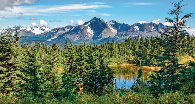 Panoramablick auf schneebedeckte Berge und Wald mit klarem blauen Himmel.