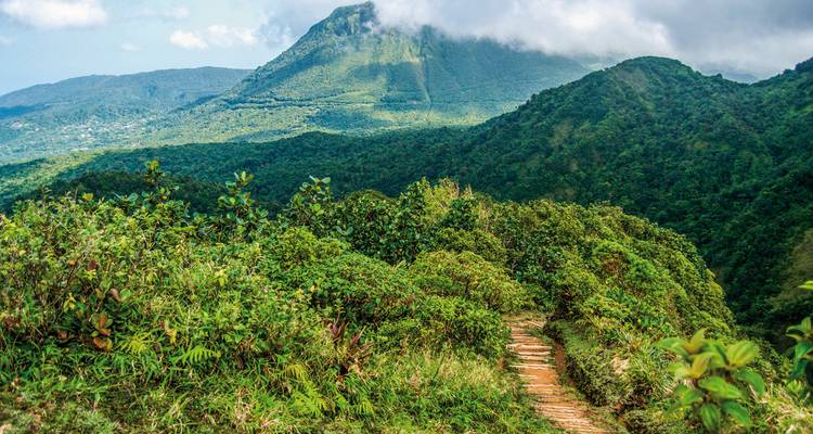 Pfad inmitten üppig grüner Berge mit einem versteckten Weg.