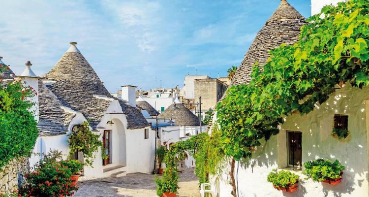 A charming street with traditional trulli houses and greenery.