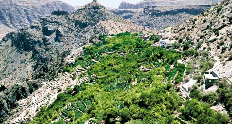 Contrasting Oman - DERTOUR 7