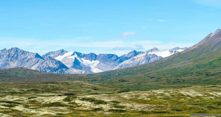 Grizzlis, glaciers, aventures routières - EPIC NORTH Tour Experiences Inc. 7