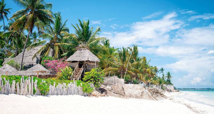 Escapade à Zanzibar : pistes de safari et récits de mer - Oxygen Tours 2