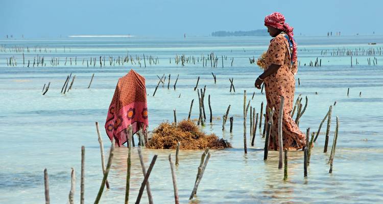 Escapade à Zanzibar : pistes de safari et récits de mer - Oxygen Tours 6