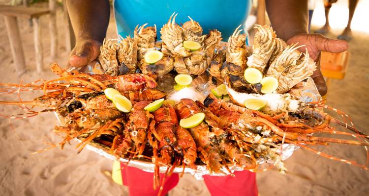 Escapade à Zanzibar : pistes de safari et récits de mer - Oxygen Tours 7