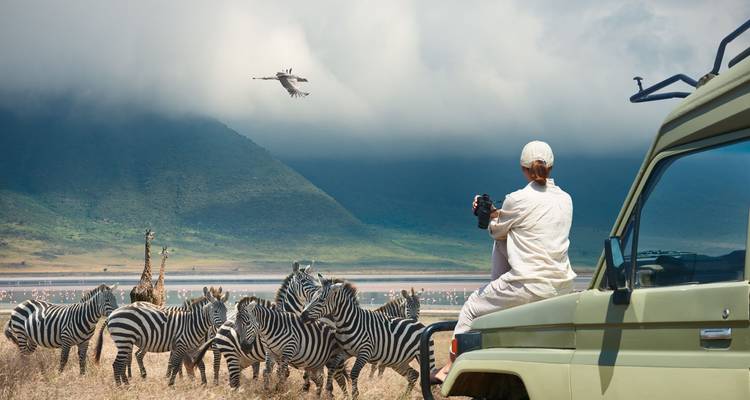 Escapade à Zanzibar : pistes de safari et récits de mer - Oxygen Tours 9