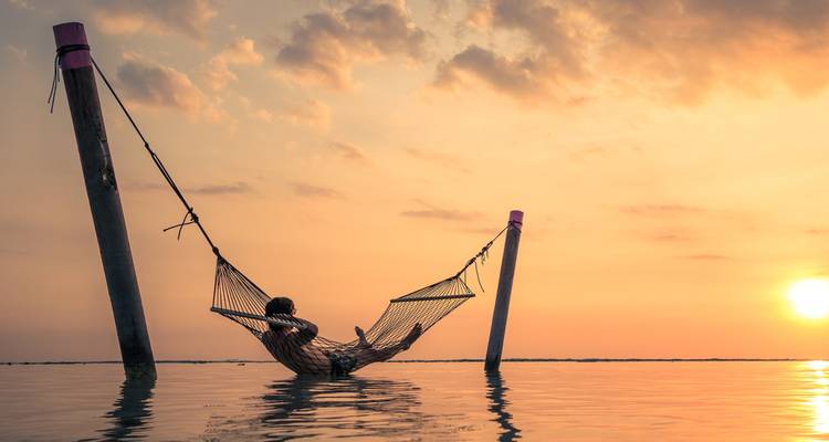 Au départ de Cochin : Circuit de 6 jours à Munnar, Thekkady et Alleppey - Yoganshi Travel 6