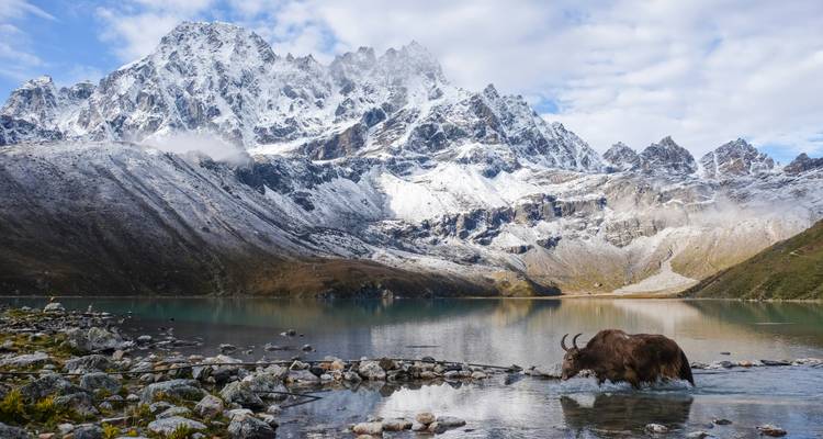 Jak die een rivier oversteekt met besneeuwde bergen op de achtergrond.