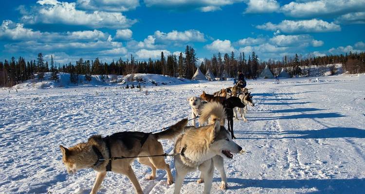 EXPLOREZ LES AURORES MAGIQUES DE YELLOWKNIFE - Receptivo Aborigen Tours 6