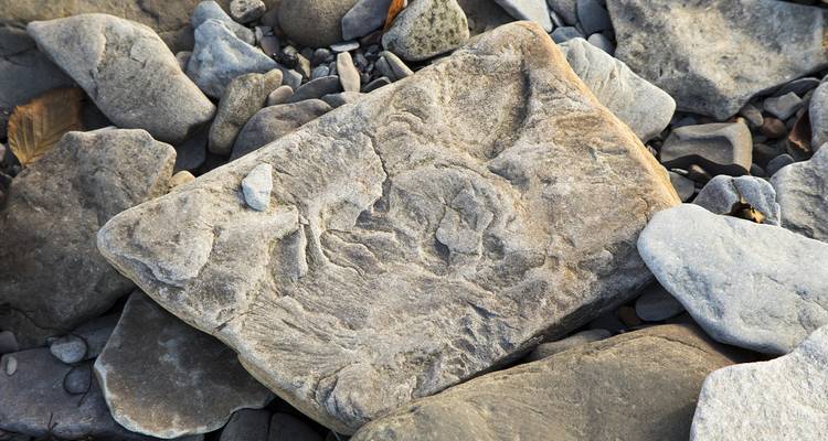 Le meilleur de la baie de Fundy (petit groupe) - 7 jours - On The Go Tours 2