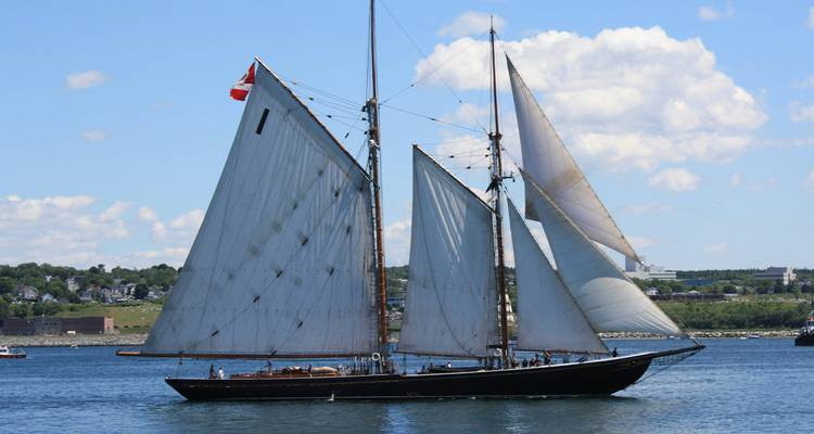 A tall sailing ship with full sails on a calm sea under a blue sky.
