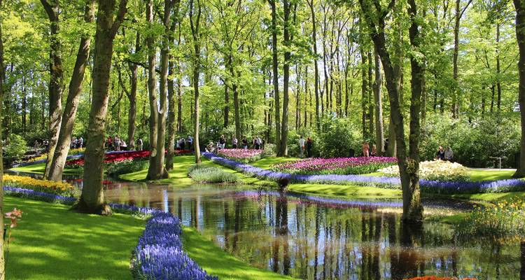 Tulipanes y Rin 2026 - 8 Días (from Amsterdam to Basilea) - Emerald Cruises 6