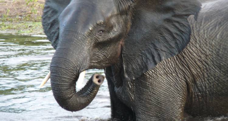 Nairobi to Nairobi 15 Days Overlanding - Africa Travel Co. 1