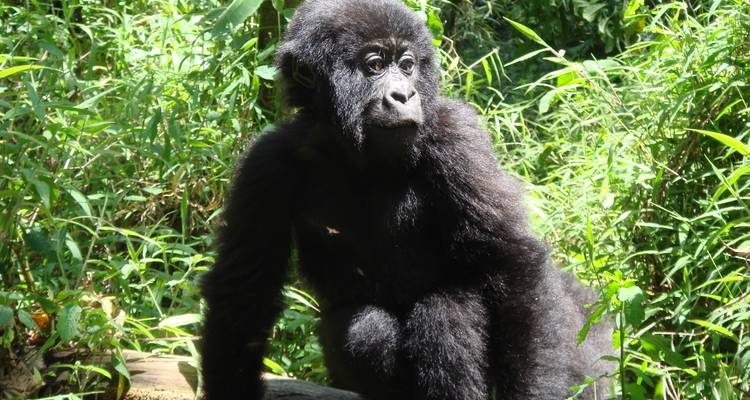 Nairobi to Nairobi 15 Days Overlanding - Africa Travel Co. 3