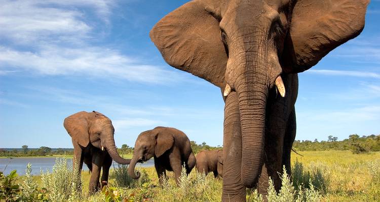 Du Cap aux chutes Victoria 22 jours en Overlanding - Africa Travel Co. 3