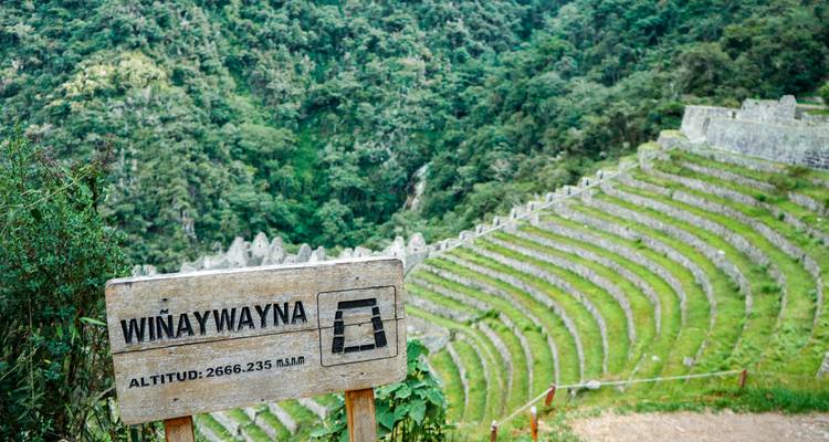 Trek along the Inca Trail & Machu Picchu - 7 Days - Valencia Travel Cusco 9