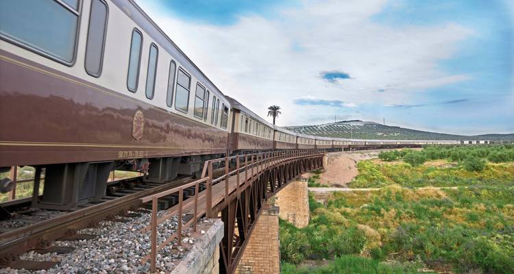 Trein die een brug over een rivier oversteekt in een schilderachtig landschap
