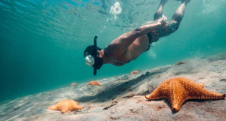 Urban to Island: Panama City & Bocas Adventure - EcoCircuitos Panama 7
