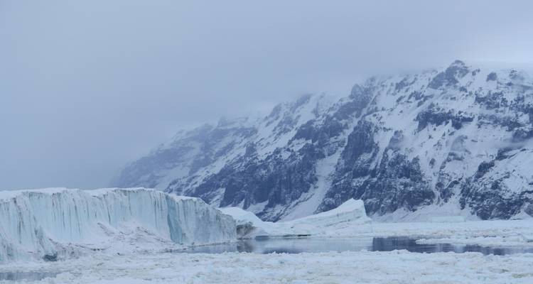 Antarctica's Ross Sea: Majestic Ice & Wildlife 2026 - 24 Days (from Hobart to Dunedin) - Scenic Luxury Cruises & Tours 4