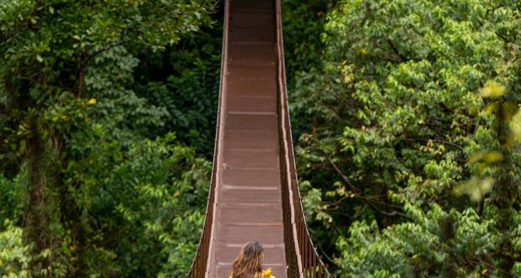 Panama Highlights: City, Highlands, and Island Escapes - EcoCircuitos Panama 3