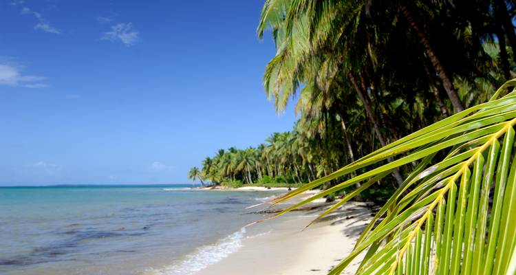 Panama Highlights: City, Highlands, and Island Escapes - EcoCircuitos Panama 6