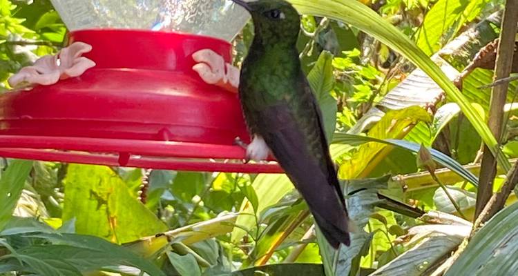12 jours Les plus grands succès de l'Équateur : Une aventure à ne pas manquer - Responsible Travel South America 4