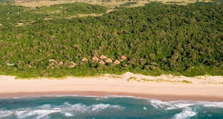 Arbusto y playa - ATC Group 6