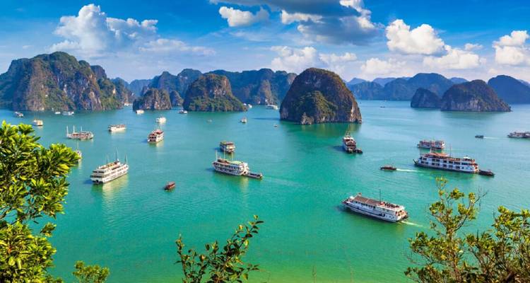 Vue panoramique de la baie d'Halong avec des croisières sur l'eau.