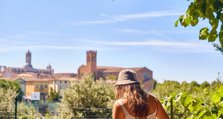 Tuscany Tour - 4 Day - Click Tours 7