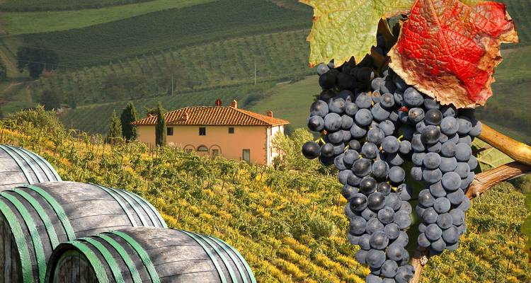 Lo mejor de la Toscana en 4 días - Click Tours 1