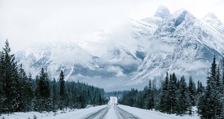 Iconic Canada: Rockies, Rails, and City Lights - Landsby 7