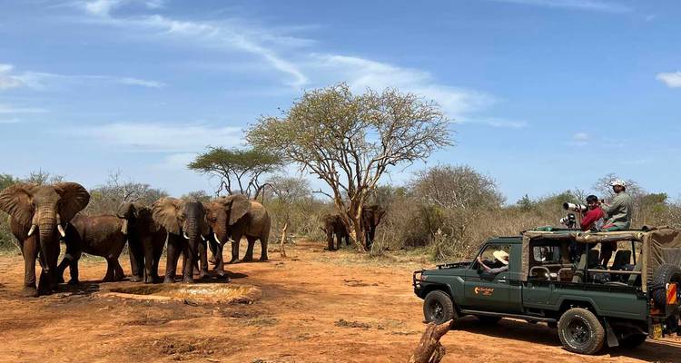 Upgraded - Highlights of Kenya & Tsavo (14 destinations) - Explore! 5
