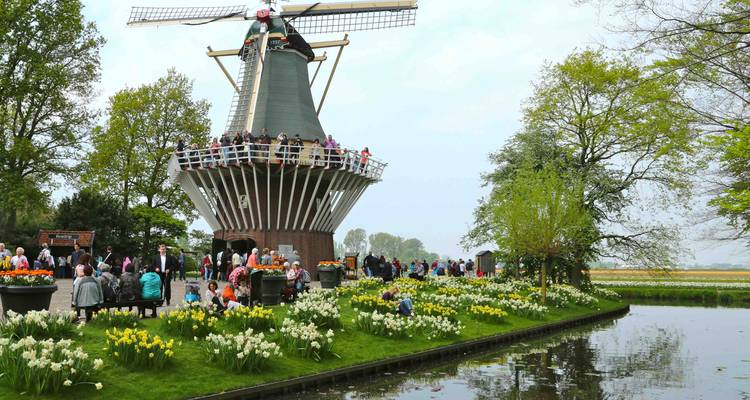Tulip Time Rhine River Cruise - Tours of Distinction 7
