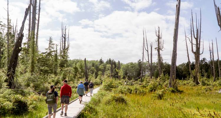 Excursión guiada en profundidad de 8 días por la Isla Norte de Vancouver desde Campbell River - Mosaic Earth Travel 2