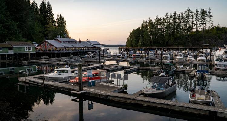 Excursión guiada en profundidad de 8 días por la Isla Norte de Vancouver desde Campbell River - Mosaic Earth Travel 3