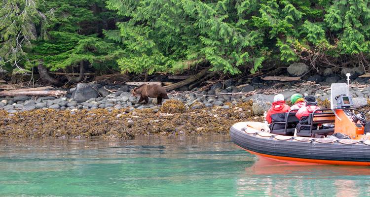 Excursión guiada en profundidad de 8 días por la Isla Norte de Vancouver desde Campbell River - Mosaic Earth Travel 8