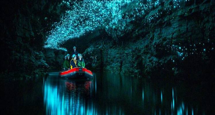 People in a boat inside a glowworm cave.