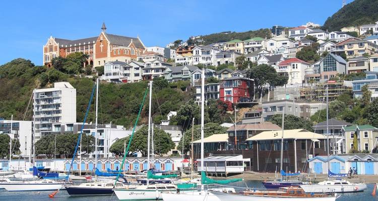 Harbor view with colorful houses on a hill.