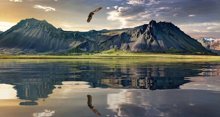 Scenic landscape with a bird flying over water.