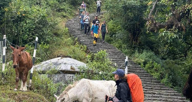 Annapurna Base Camp Yoga Trek - Adventure Himalayan Travels 2