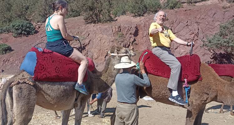 De Marrakech a Agadir, pasando por el desierto de Agafay, Essaouira y Taghazout. - Best Tours Morocco 2