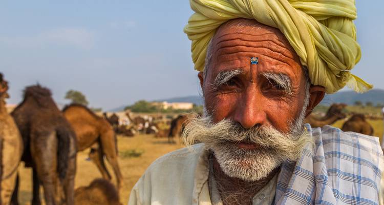 Circuit de 7 jours dans le Triangle d'Or avec train et tigres - Delhi Agra Jaipur Ranthambore Tour - Joyful Holidays 7