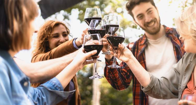 Plazas limitadas: Experiencia de 4 días en la Fiesta Mágica de la Vendimia de Mendoza - Signature DMC 2