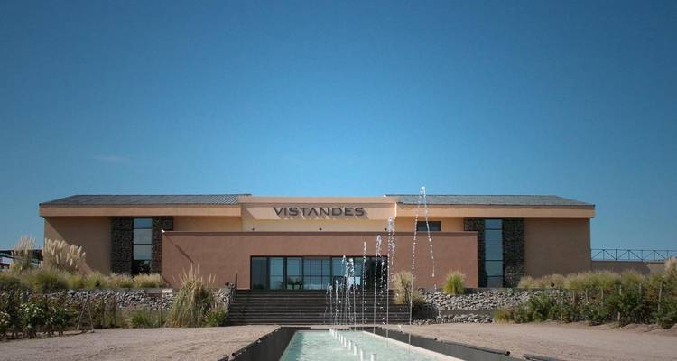 Plazas limitadas: Experiencia de 4 días en la Fiesta Mágica de la Vendimia de Mendoza - Signature DMC 9