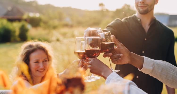 Plazas limitadas: Experiencia de 4 días en la Fiesta Mágica de la Vendimia de Mendoza - Signature DMC 10