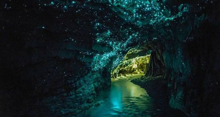 Nouvelle-Zélande : Auckland, Waitomo et Rotorua en 5 jours - Receptivo Aborigen Tours 2