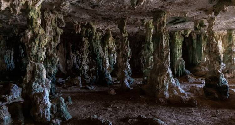 Nouvelle-Zélande : Auckland, Waitomo et Rotorua en 5 jours - Receptivo Aborigen Tours 6
