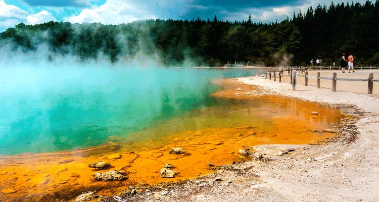 Nouvelle-Zélande : Auckland, Waitomo et Rotorua en 5 jours - Receptivo Aborigen Tours 9